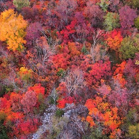 アウリジーナPanoramaアパートメント エクステリア 写真