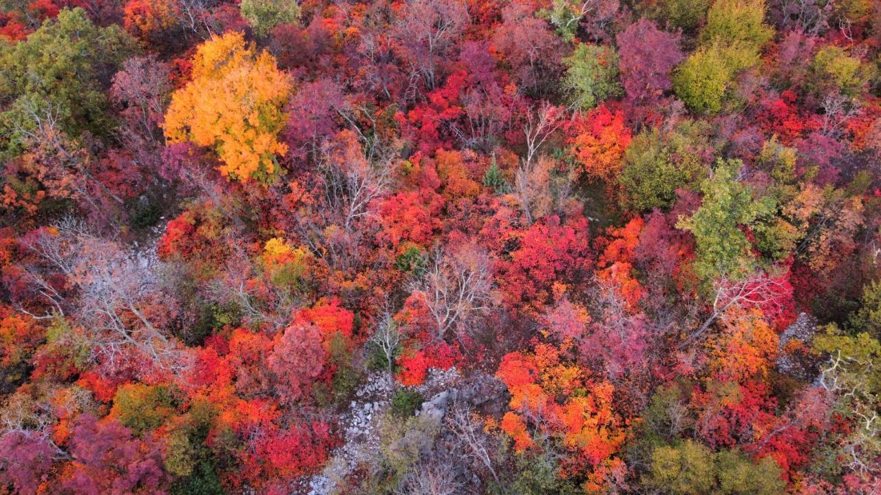 アウリジーナPanoramaアパートメント エクステリア 写真
