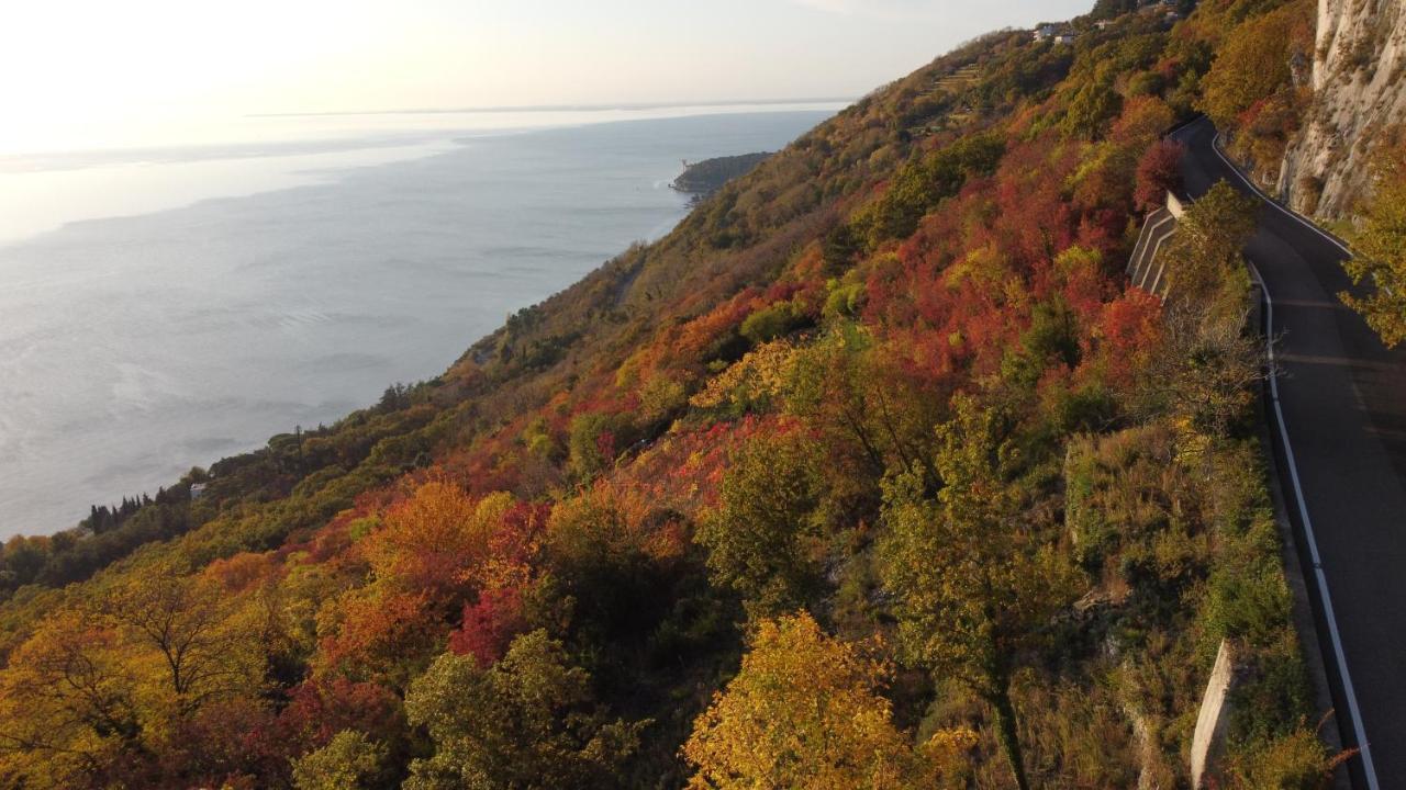 アウリジーナPanoramaアパートメント エクステリア 写真