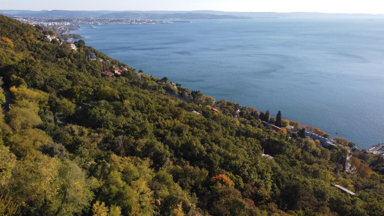 アウリジーナPanoramaアパートメント エクステリア 写真